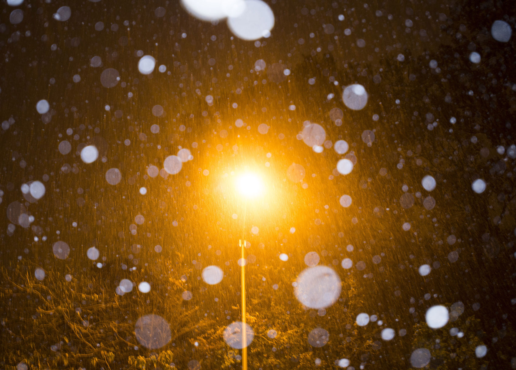 BR.snow027.120917.jpg